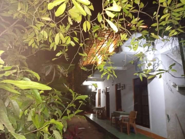 Hotel Jungle Guest ,Mirissa Zewnętrze zdjęcie